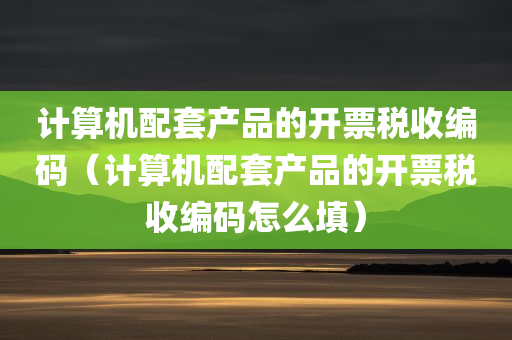 计算机配套产品的开票税收编码（计算机配套产品的开票税收编码怎么填）