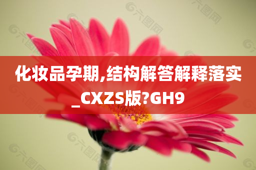 化妆品孕期,结构解答解释落实_CXZS版?GH9