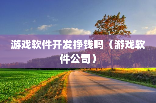 游戏软件开发挣钱吗（游戏软件公司）