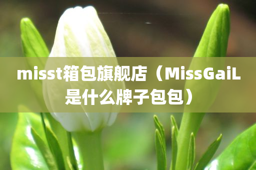 misst箱包旗舰店（MissGaiL是什么牌子包包）