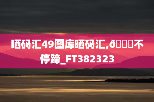 晒码汇49图库晒码汇,🐎不停蹄_FT382323