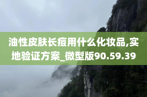 油性皮肤长痘用什么化妆品,实地验证方案_微型版90.59.39