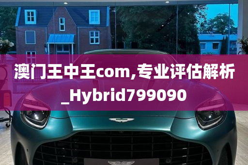 澳门王中王com,专业评估解析_Hybrid799090