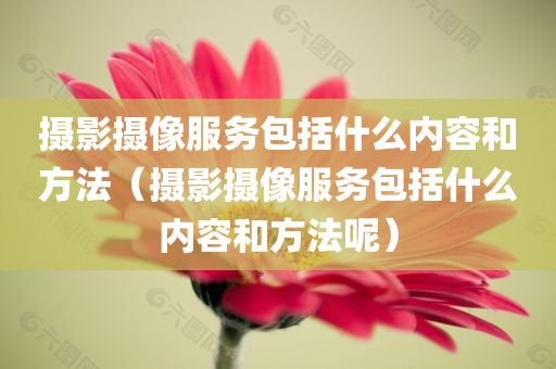 摄影摄像服务包括什么内容和方法（摄影摄像服务包括什么内容和方法呢）