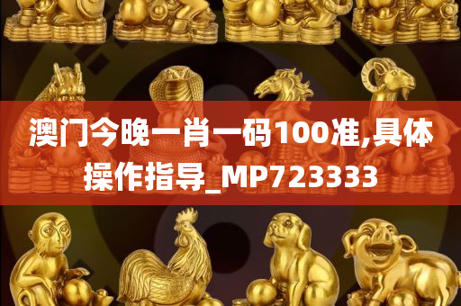 澳门今晚一肖一码100准,具体操作指导_MP723333