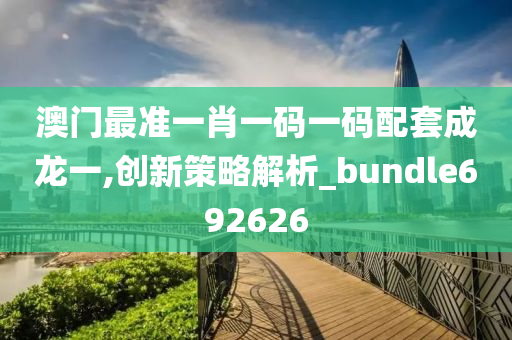 澳门最准一肖一码一码配套成龙一,创新策略解析_bundle692626