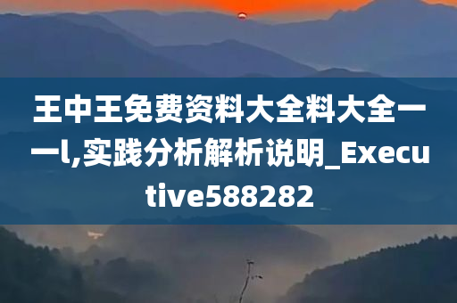 王中王免费资料大全料大全一一l,实践分析解析说明_Executive588282