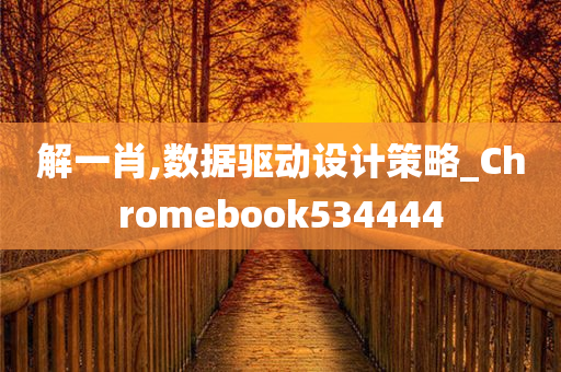 解一肖,数据驱动设计策略_Chromebook534444