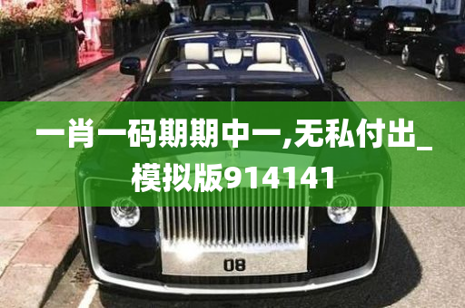 一肖一码期期中一,无私付出_模拟版914141