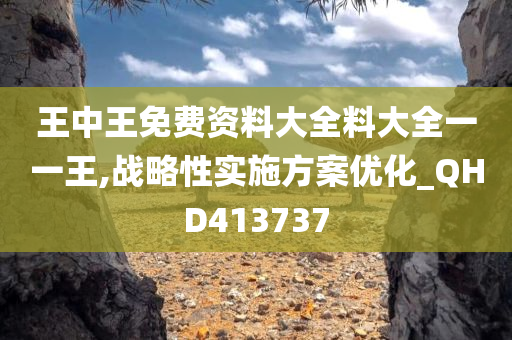 王中王免费资料大全料大全一一王,战略性实施方案优化_QHD413737