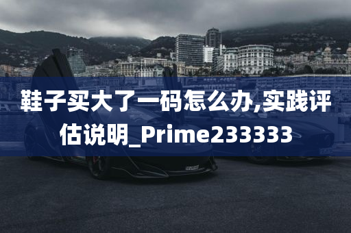 鞋子买大了一码怎么办,实践评估说明_Prime233333