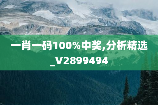 一肖一码100%中奖,分析精选_V2899494