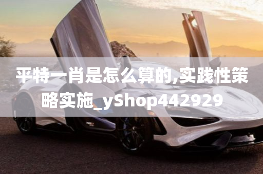 平特一肖是怎么算的,实践性策略实施_yShop442929