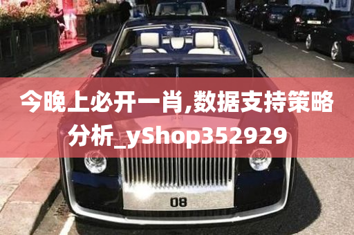 今晚上必开一肖,数据支持策略分析_yShop352929