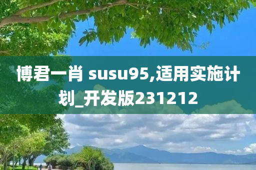 博君一肖 susu95,适用实施计划_开发版231212