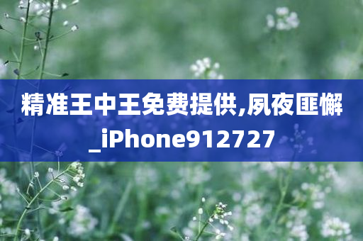 精准王中王免费提供,夙夜匪懈_iPhone912727