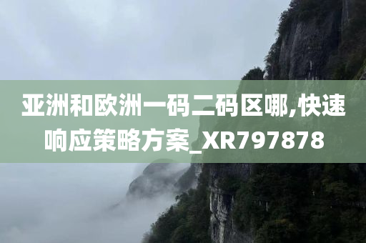 亚洲和欧洲一码二码区哪,快速响应策略方案_XR797878