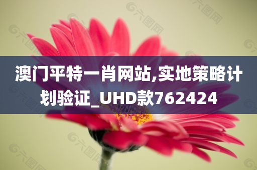 澳门平特一肖网站,实地策略计划验证_UHD款762424