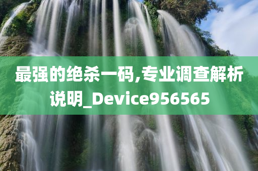 最强的绝杀一码,专业调查解析说明_Device956565