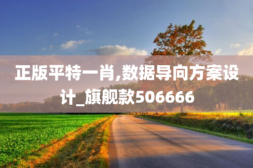 正版平特一肖,数据导向方案设计_旗舰款506666