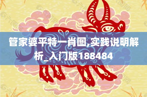 管家婆平特一肖图,实践说明解析_入门版188484