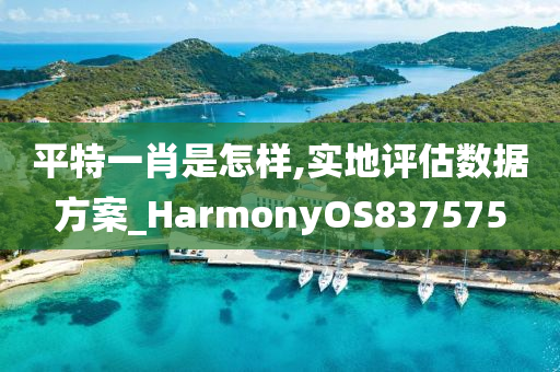 平特一肖是怎样,实地评估数据方案_HarmonyOS837575