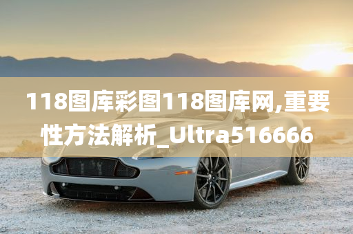 118图库彩图118图库网,重要性方法解析_Ultra516666