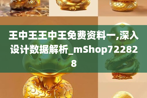 王中王王中王免费资料一,深入设计数据解析_mShop722828