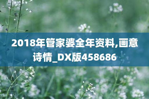 2018年管家婆全年资料,画意诗情_DX版458686