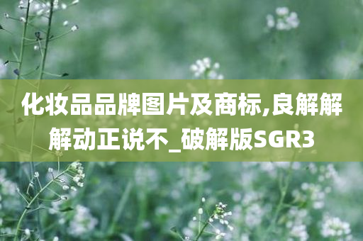 化妆品品牌图片及商标,良解解解动正说不_破解版SGR3