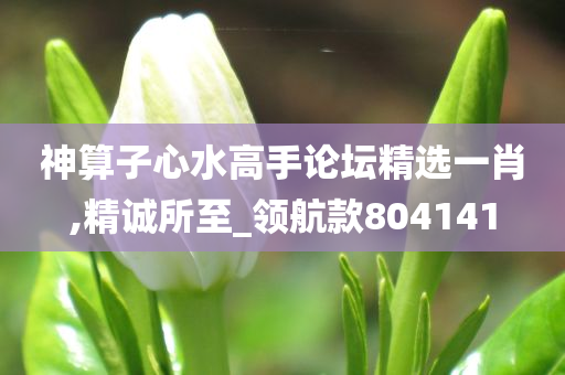 神算子心水高手论坛精选一肖,精诚所至_领航款804141