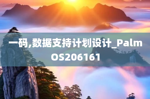 一码,数据支持计划设计_PalmOS206161