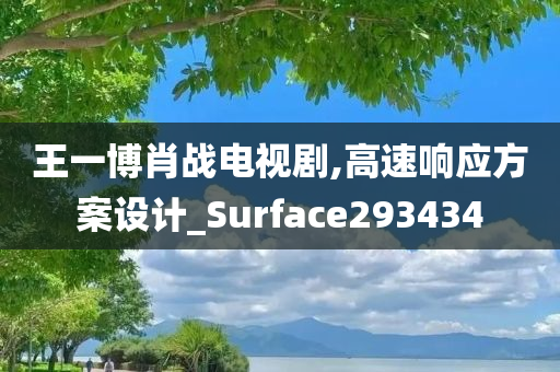 王一博肖战电视剧,高速响应方案设计_Surface293434