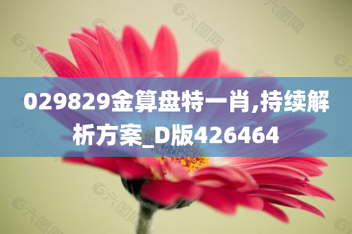 029829金算盘特一肖,持续解析方案_D版426464