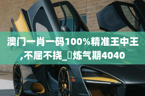 澳门一肖一码100%精准王中王,不屈不挠_‌炼气期4040