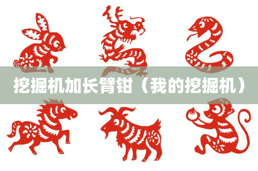 挖掘机加长臂钳（我的挖掘机）