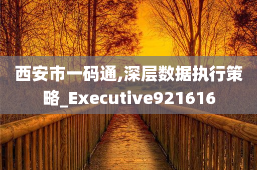 西安市一码通,深层数据执行策略_Executive921616