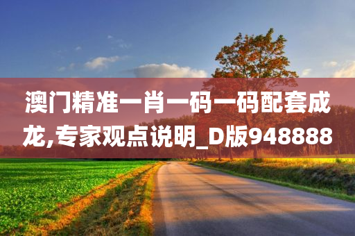 澳门精准一肖一码一码配套成龙,专家观点说明_D版948888