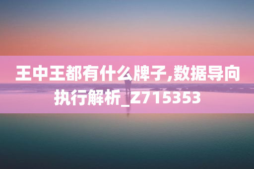 王中王都有什么牌子,数据导向执行解析_Z715353