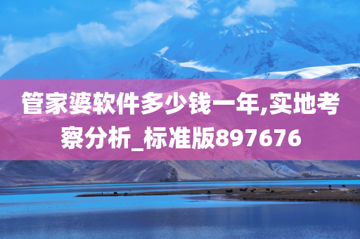 管家婆软件多少钱一年,实地考察分析_标准版897676