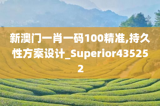 新澳门一肖一码100精准,持久性方案设计_Superior435252