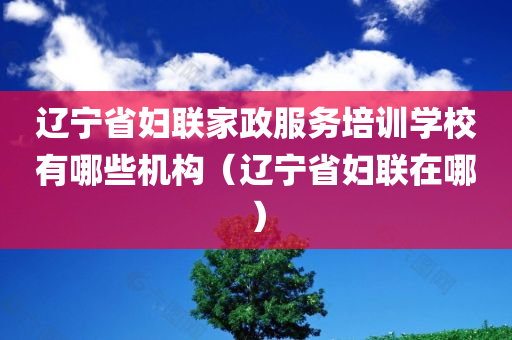 辽宁省妇联家政服务培训学校有哪些机构（辽宁省妇联在哪）