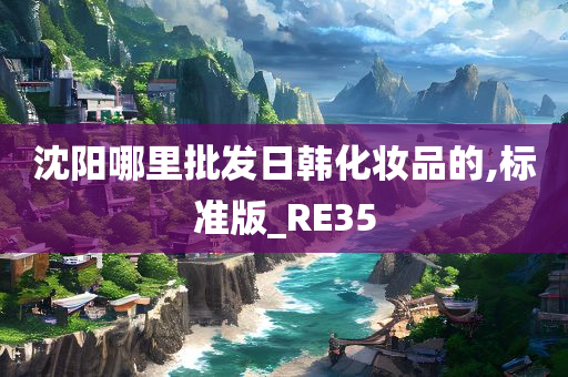 沈阳哪里批发日韩化妆品的,标准版_RE35