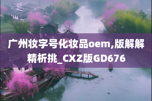 广州妆字号化妆品oem,版解解精析挑_CXZ版GD676