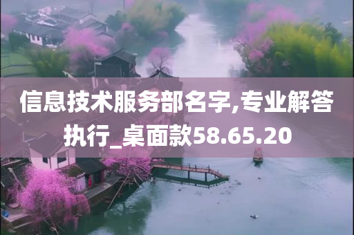 信息技术服务部名字,专业解答执行_桌面款58.65.20