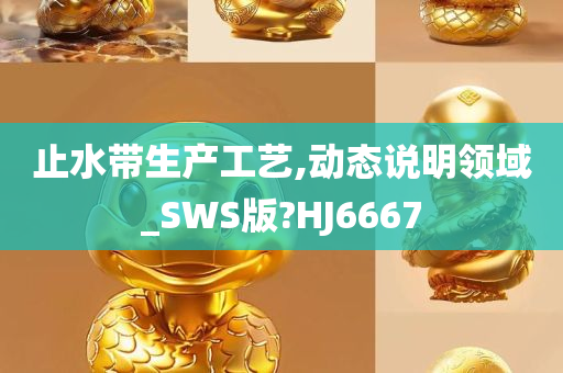 止水带生产工艺,动态说明领域_SWS版?HJ6667