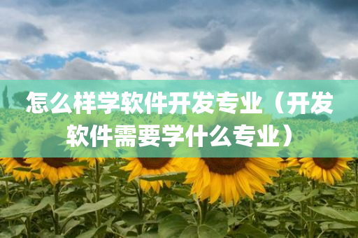 怎么样学软件开发专业（开发软件需要学什么专业）