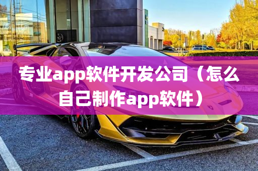 专业app软件开发公司（怎么自己制作app软件）