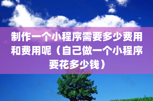 制作一个小程序需要多少费用和费用呢（自己做一个小程序要花多少钱）