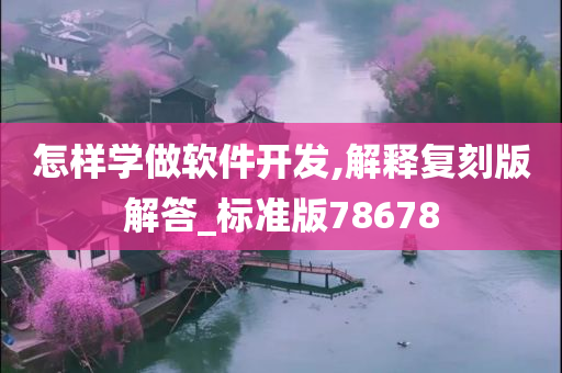 怎样学做软件开发,解释复刻版解答_标准版78678